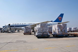 南航北方貨運部旺季銷售旺，節前安全保障與貨運代理服務并重