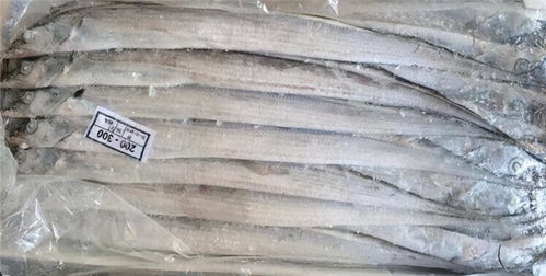 天津一批凍豬肘檢出新冠陽性事件 緊急通報與防控反思