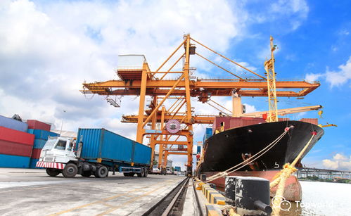 船東提單與貨代提單 核心區別與貨運代理的關鍵角色